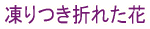 ܂Ă܂X̉